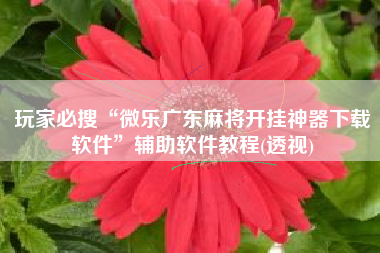 玩家必搜“微乐广东麻将开挂神器下载软件	”辅助软件教程(透视)