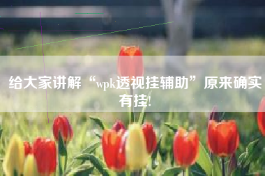 给大家讲解“wpk透视挂辅助	”原来确实有挂!