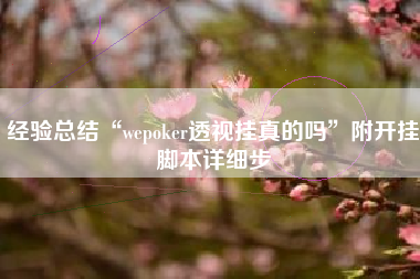 经验总结“wepoker透视挂真的吗	”附开挂脚本详细步