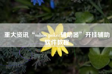 重大资讯“sohoo poker辅助器	”开挂辅助软件教程