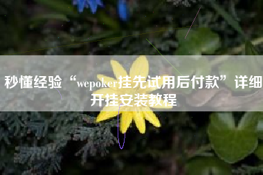 秒懂经验“wepoker挂先试用后付款”详细开挂安装教程