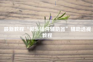 最新教程“微乐插件辅助器”辅助透视教程