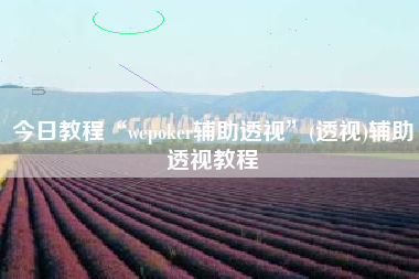 今日教程“wepoker辅助透视”(透视)辅助透视教程