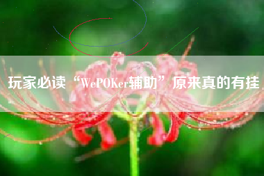 玩家必读“WePOKer辅助”原来真的有挂