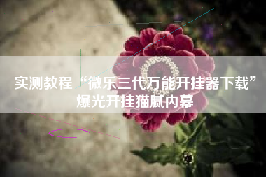 实测教程“微乐三代万能开挂器下载	”爆光开挂猫腻内幕