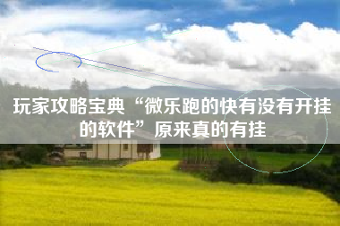 玩家攻略宝典“微乐跑的快有没有开挂的软件”原来真的有挂