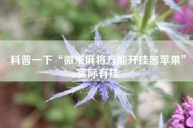 科普一下“微乐麻将万能开挂器苹果”实际有挂