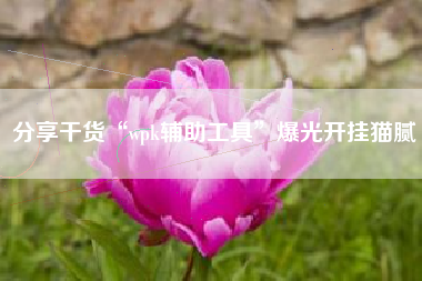 分享干货“wpk辅助工具”爆光开挂猫腻