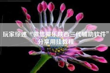 玩家综述“微信微乐陕西三代辅助软件”分享用挂教程