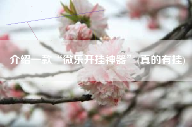 介绍一款“微乐开挂神器”(真的有挂)