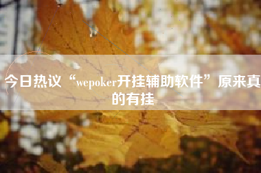 今日热议“wepoker开挂辅助软件”原来真的有挂