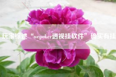 玩家综述“wepoker透视挂软件”确实有挂
