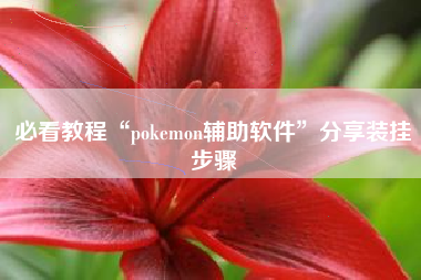 必看教程“pokemon辅助软件”分享装挂步骤
