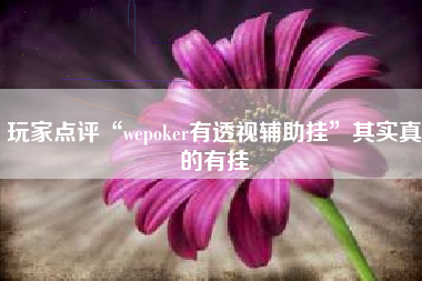 玩家点评“wepoker有透视辅助挂”其实真的有挂