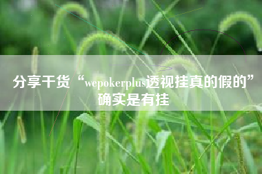 分享干货“wepokerplus透视挂真的假的”确实是有挂