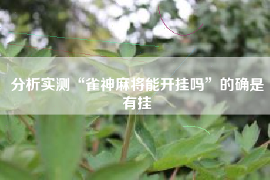 分析实测“雀神麻将能开挂吗	”的确是有挂