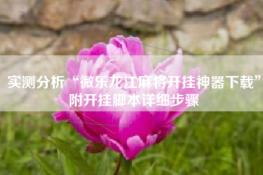 实测分析“微乐龙江麻将开挂神器下载”附开挂脚本详细步骤