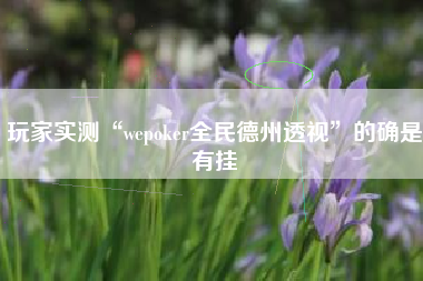 玩家实测“wepoker全民德州透视”的确是有挂