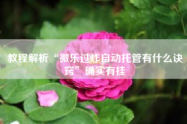 教程解析“微乐过炸自动托管有什么诀窍	”确实有挂