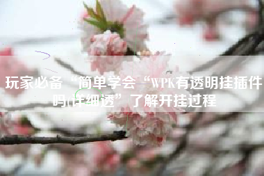玩家必备“简单学会“WPK有透明挂插件吗(详细透”了解开挂过程