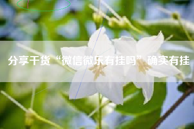 分享干货“微信微乐有挂吗	”确实有挂
