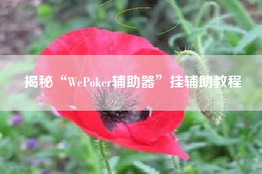 揭秘“WePoker辅助器”挂辅助教程