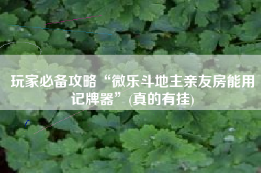 玩家必备攻略“微乐斗地主亲友房能用记牌器	”(真的有挂)