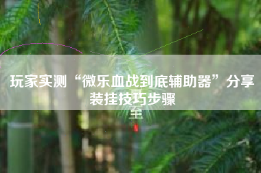 玩家实测“微乐血战到底辅助器”分享装挂技巧步骤