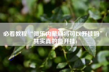 必看教程“微乐内蒙麻将可以开挂吗”(其实真的能开挂)