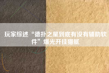 玩家综述“德扑之星到底有没有辅助软件”爆光开挂猫腻