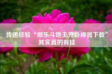 传递经验“微乐斗地主外卦神器下载	”其实真的有挂