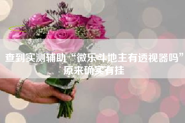 查到实测辅助“微乐斗地主有透视器吗”原来确实有挂