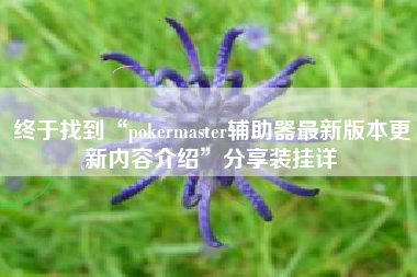 终于找到“pokermaster辅助器最新版本更新内容介绍”分享装挂详