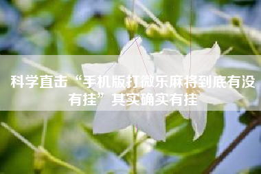 科学直击“手机版打微乐麻将到底有没有挂	”其实确实有挂