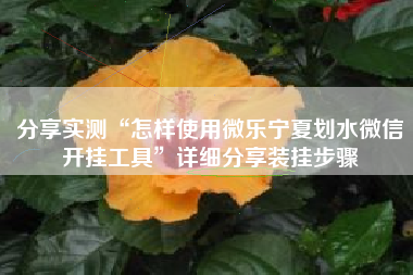 分享实测“怎样使用微乐宁夏划水微信开挂工具”详细分享装挂步骤