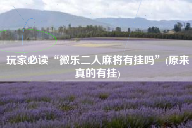 玩家必读“微乐二人麻将有挂吗”(原来真的有挂)