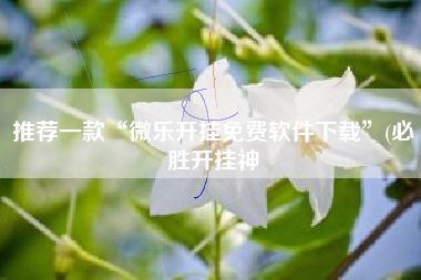 推荐一款“微乐开挂免费软件下载	”(必胜开挂神