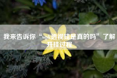 我来告诉你“wpk透视挂是真的吗”了解开挂过程