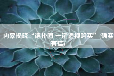 内幕揭晓“德扑圈 一键透视购买”(确实有挂)