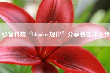 必备科技“hhpoker规律”分享装挂详细步