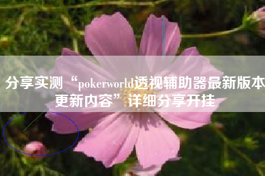 分享实测“pokerworld透视辅助器最新版本更新内容”详细分享开挂