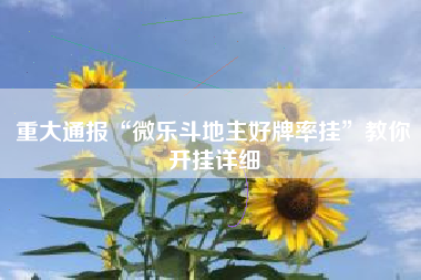 重大通报“微乐斗地主好牌率挂	”教你开挂详细