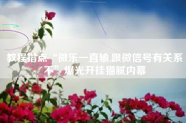 教程指点“微乐一直输,跟微信号有关系不”爆光开挂猫腻内幕