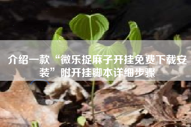 介绍一款“微乐捉麻子开挂免费下载安装”附开挂脚本详细步骤