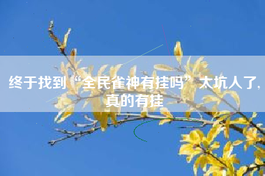 终于找到“全民雀神有挂吗”太坑人了,真的有挂