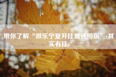 带你了解“微乐宁夏开挂器通用版”(其实有挂)