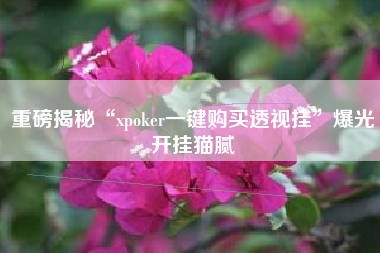 重磅揭秘“xpoker一键购买透视挂”爆光开挂猫腻