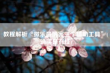教程解析“微乐最厉害三个辅助工具”(确实是有挂)