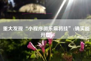 重大发现“小程序微乐麻将挂”(确实能开挂)