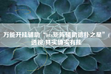 万能开挂辅助“htx矩阵辅助德扑之星	”(透视)其实确实有挂